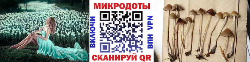 Псилоцибиновые грибы Psilocybe  kraken как зайти  Соль-Илецк  наркота 